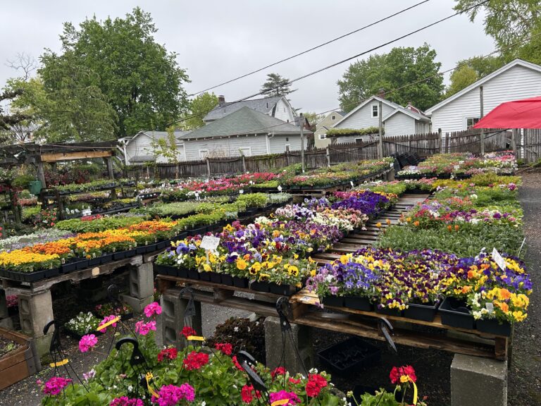 CT Florist & Landscape