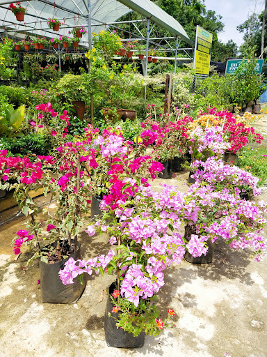 EU Garden Enterprise
