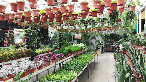 Floristika.com.my Wholesale Florist Malaysia