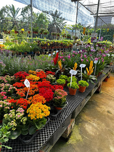 Ji Shun Nursery