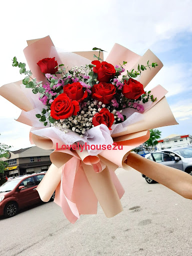 Lovely House