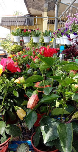 Mawar Florist and Gardening