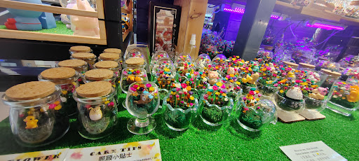 MyLittleFlower (Paradigm Mall) - 会睡觉的真花， 永生花，夜光花礼品专卖店