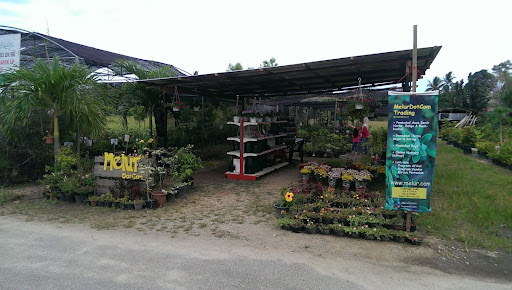 Nurseri Melur