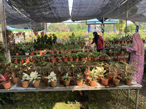 Tangkak Nursery