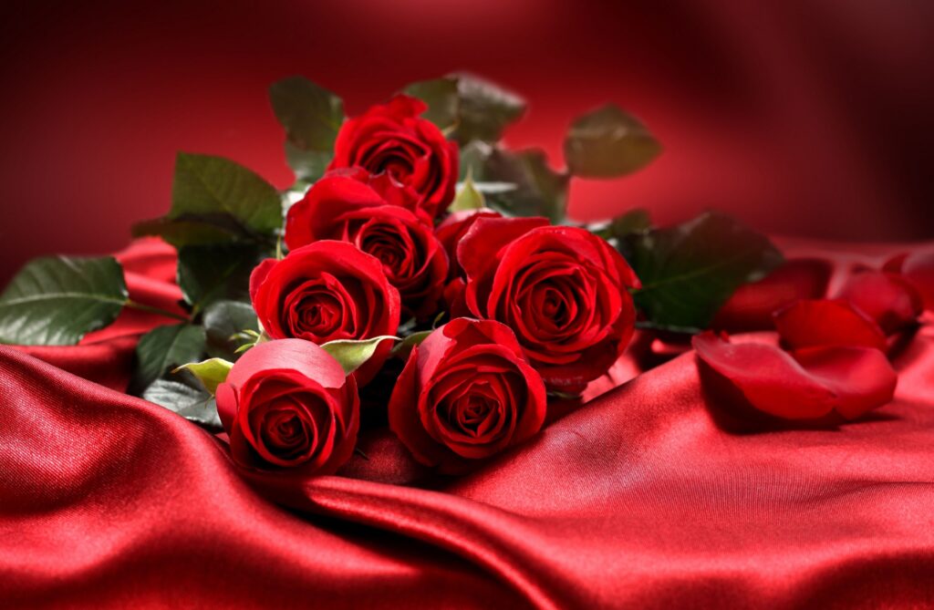 Anitha Florist