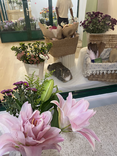 Bloomies.