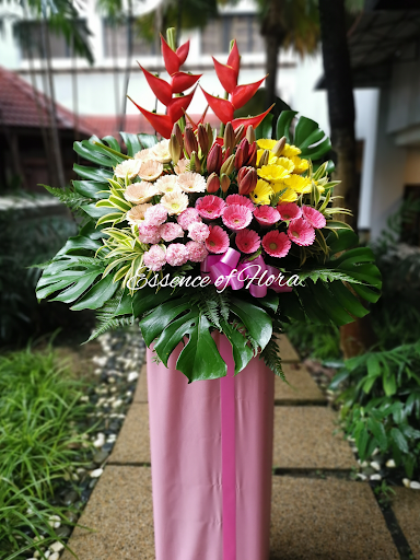 Essence of Flora