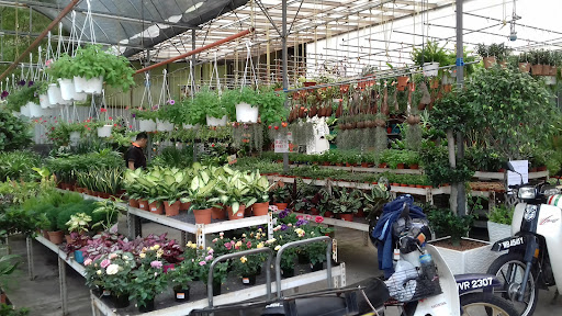 FarEastFlora.com
