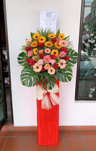 Flower's Secret 秘密花园