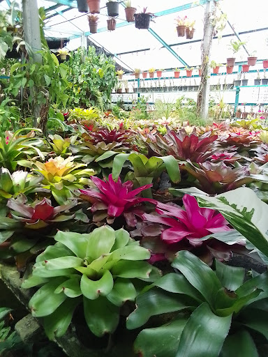 Mini Garden Ina