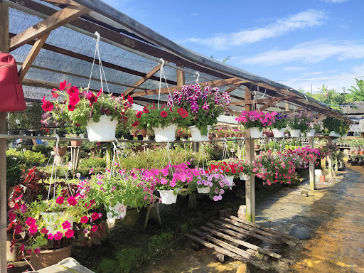 Poh Soon Garden Sdn Bhd