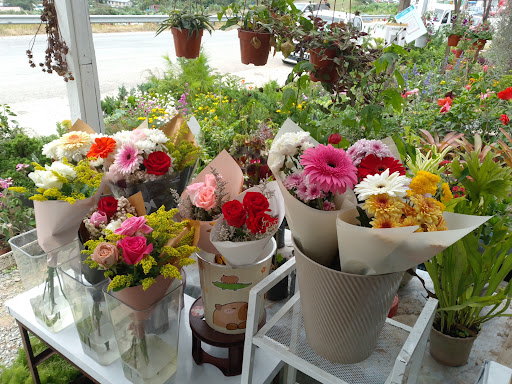 Suzie Florist