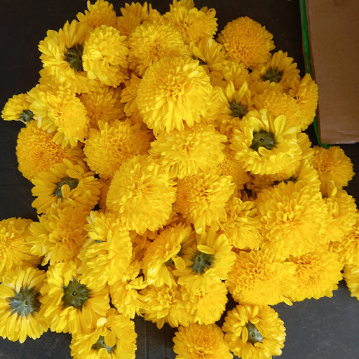 TRMD FLORIST