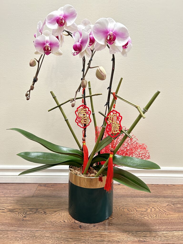 Vanda Florist