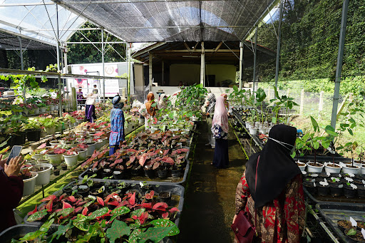 Zety Roses Garden & Farm